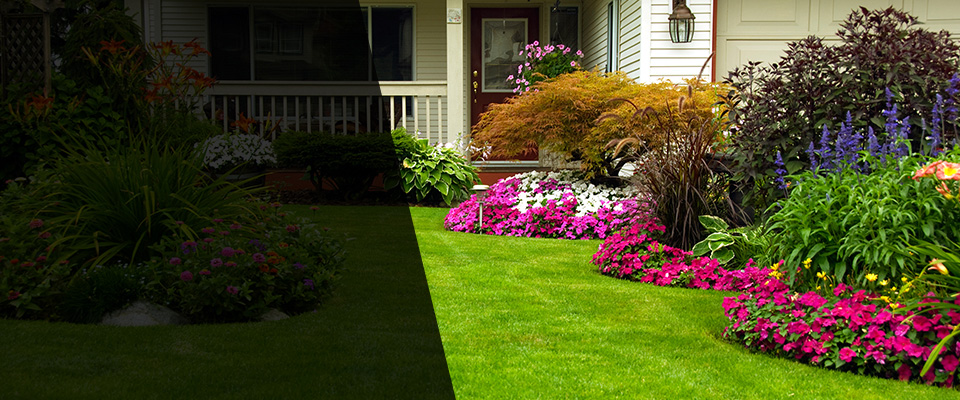 Lubbock Landscapers