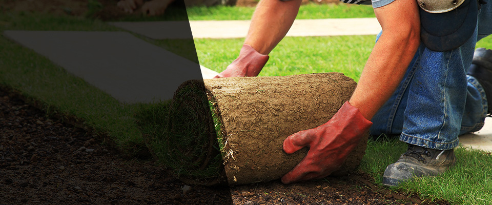 Lubbock Landscapers